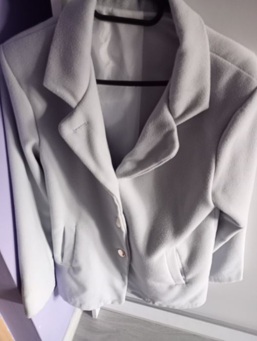 Płaszczyk przejściowy