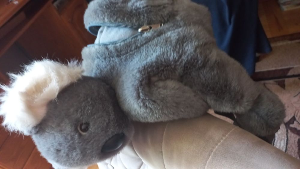 Plecaczek  misiu Koala
