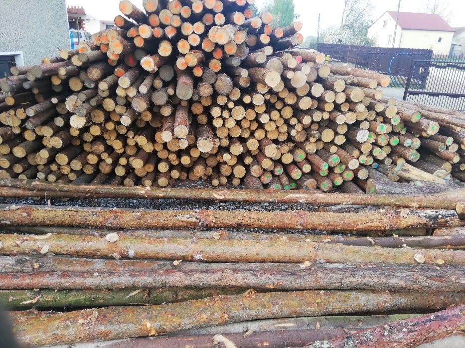 stemple (stęple), korowane, budowlane,  NOWE 2-6m