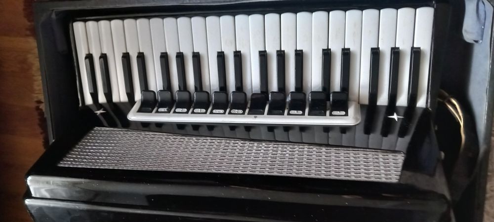 Akordeon Muza 120