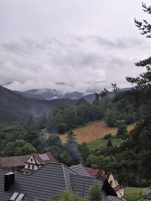 Domki pod Sosnami w Ochotnicy