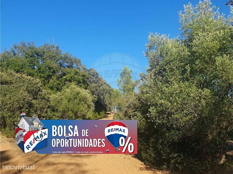Terreno  para venda