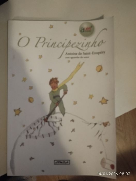 Livro " O principezinho"