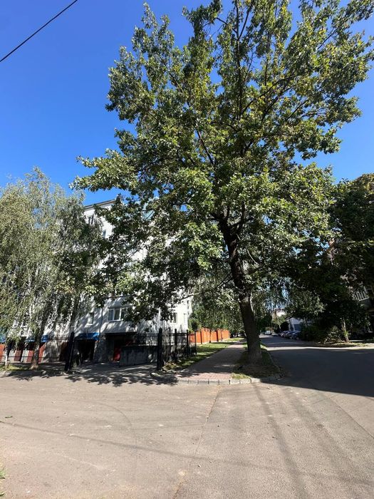 Будинок  в центрі міста, є підвал