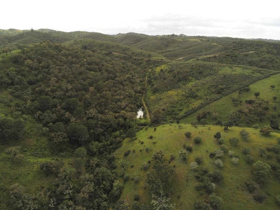 Monte Alentejano em Santana da Serra casa térrea com 78m2 prédio urbano e rústico de 8 hectares