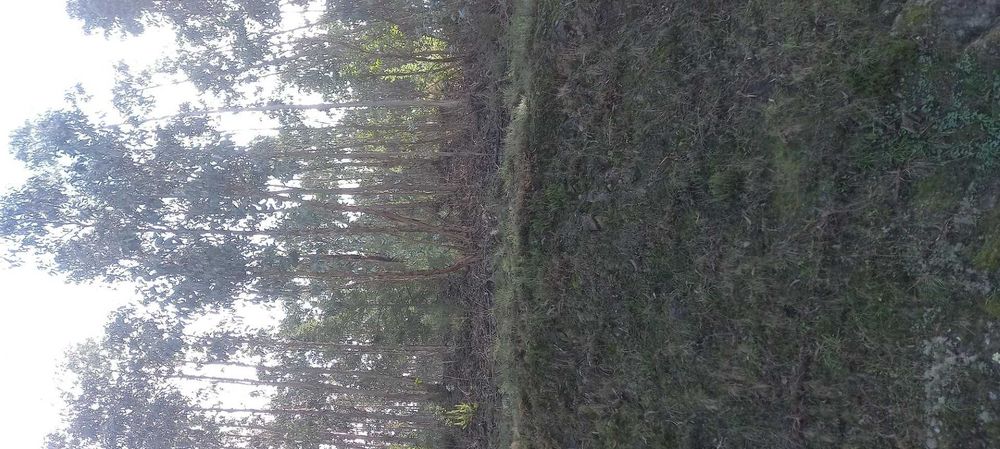 Vendo casa para recuperar.