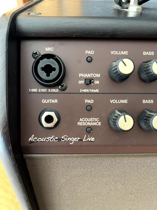 Boss ACS Acoustic Singer Live