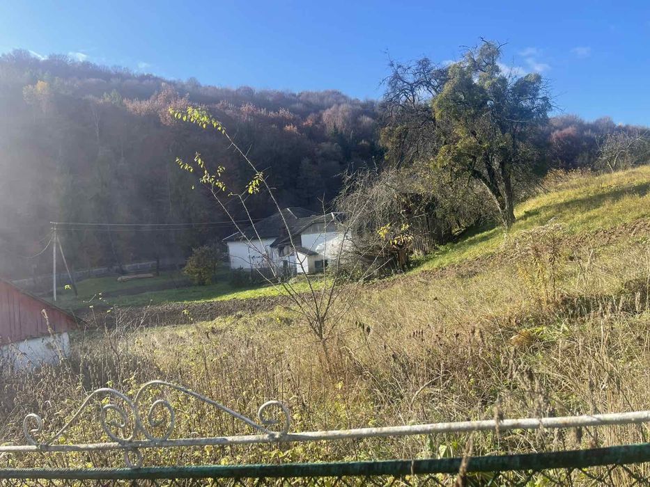 Продаю будиночек у селі Оленеве Закарпатської області