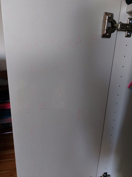 Garderoba Stuva Ikea wysoki regał x2 + Platsa