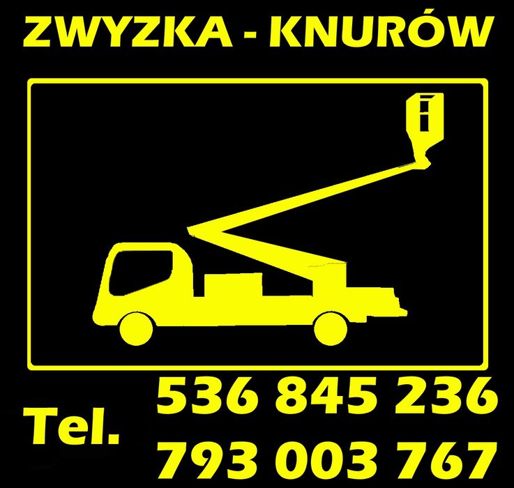 Wycinka drzew z podnośnika / przycinka / rębakowanie/ frezowanie.