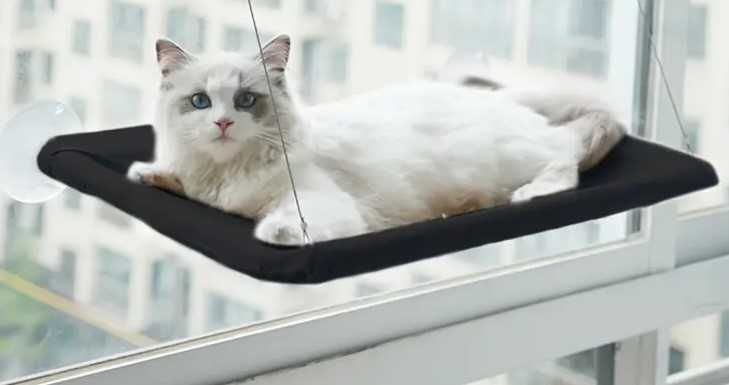 Nowe legowisko półka na okno leżanka dla kota