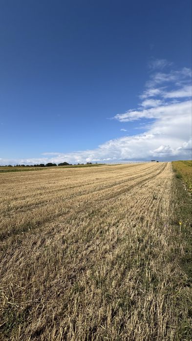 Земельна ділянка 1,68 га в Колоденці ( вул. Енергетиків)