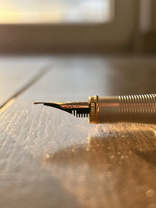 Eleganckie Pióro Wieczne