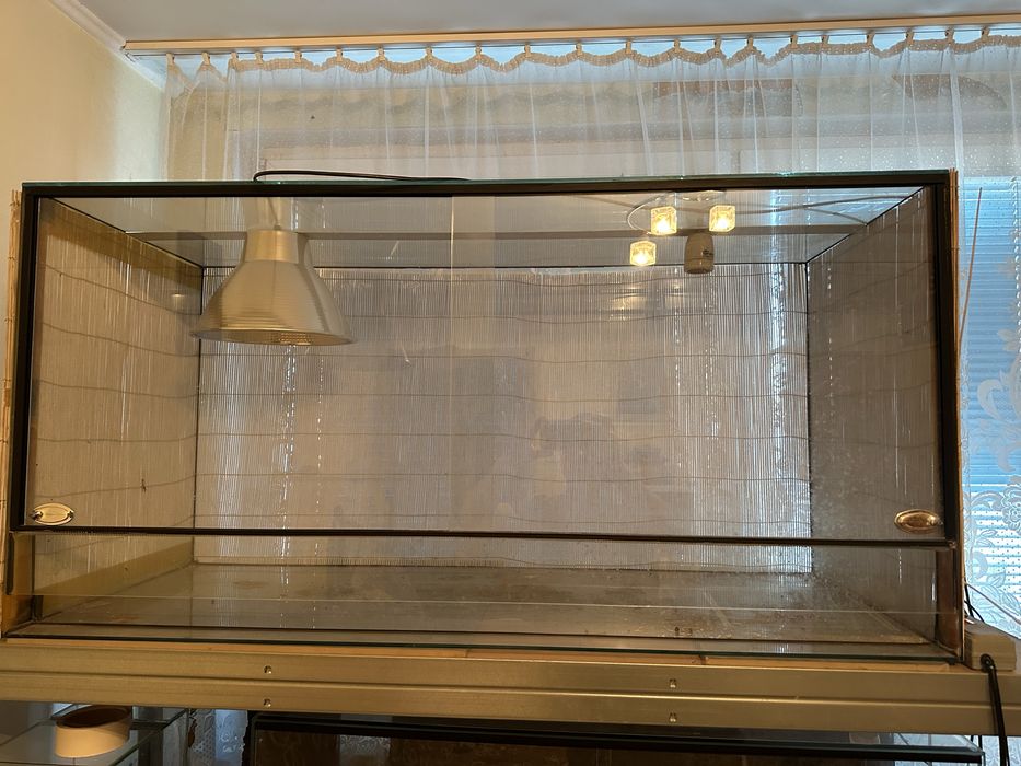 Terrarium duze /grube szklo