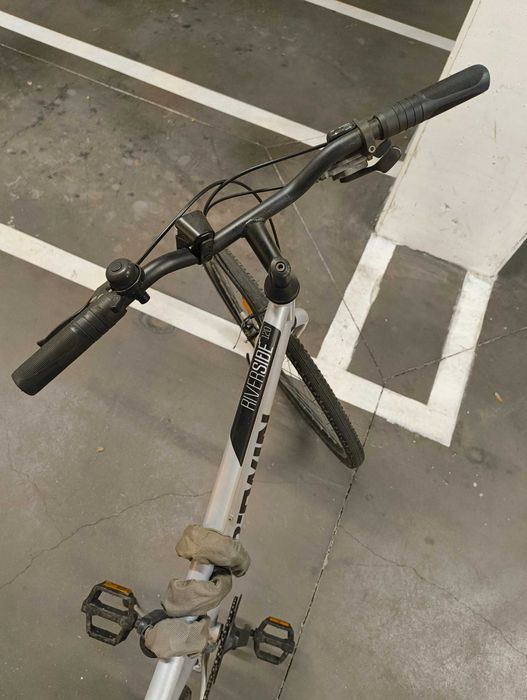 Bicicleta Riverside 120