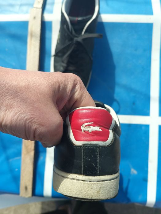 Кросівки чоловічі Lacoste