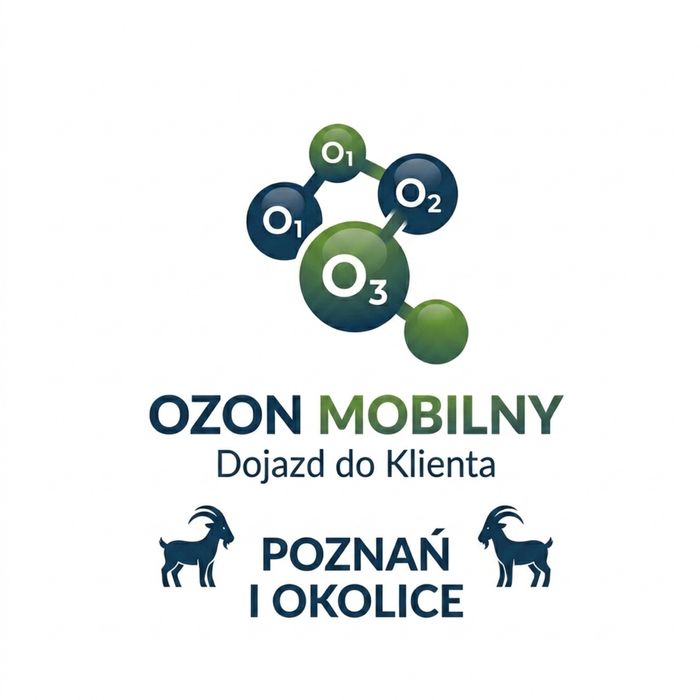 Dezynfekcja mobilna ozonowanie aut samochódów , pomieszczeń.