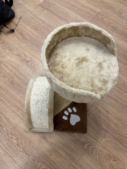 Кігтеточка для котів