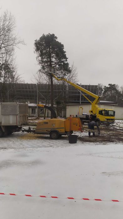 Karczowanie działek Legionowo | Wycinka drzew | Frezowanie pni