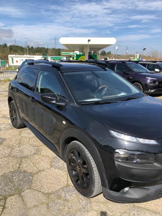 IMPERDÍVEL! C4Cactus Completo