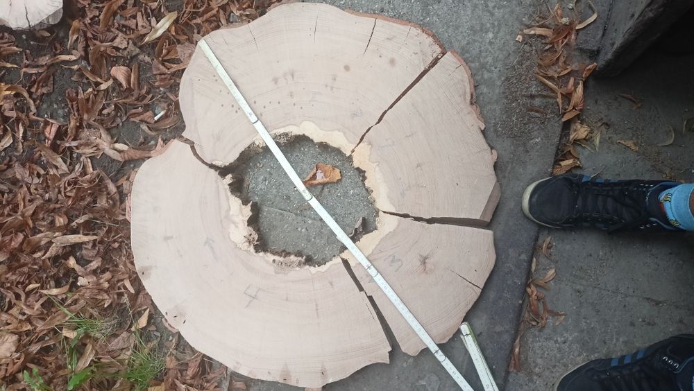 Plastry drzewa suszone i strugane