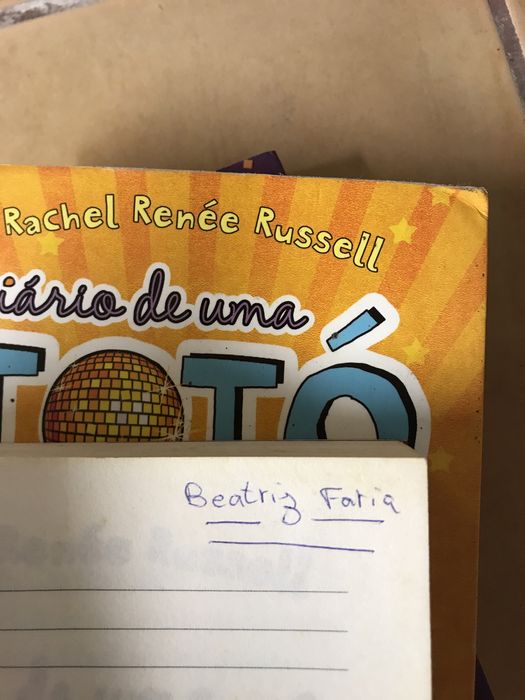 O diario de uma toto 1