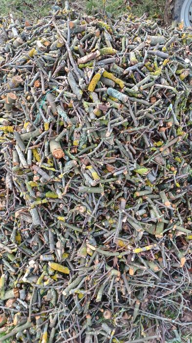 Drewno z rebaka w workach