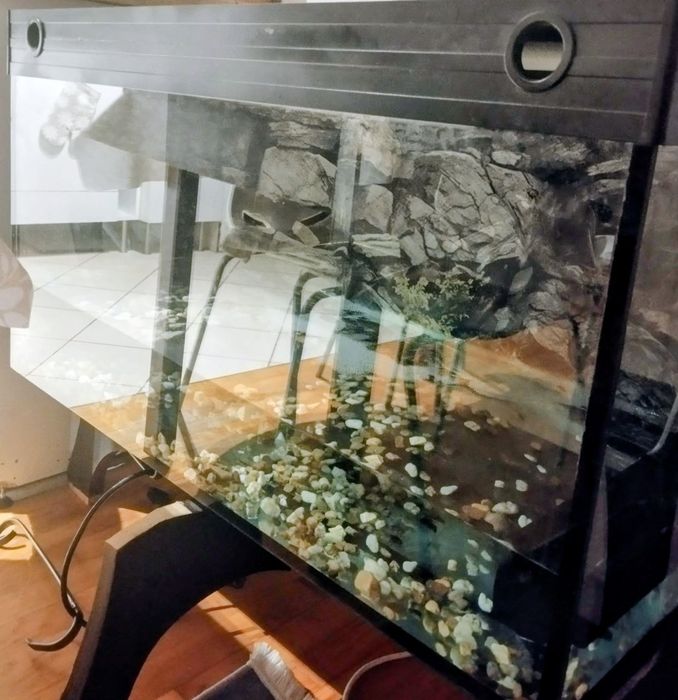 Akwarium  200L 100x40 pokrywą i filtrem i lampą i pompa wodna uniwersalna (ślady użytkowania)