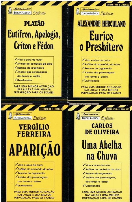 10339 Colecção Apontamentos Europa-América Explicam