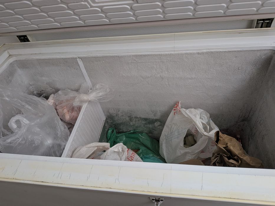 Arca congeladora Tensai