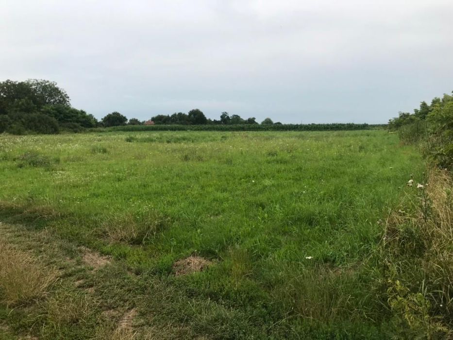 Продаж ділянки с.Батфа