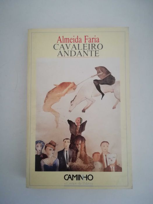 livro - Cavaleiro andante