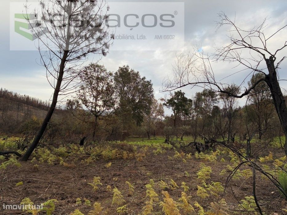 Cabeço dos Penedos