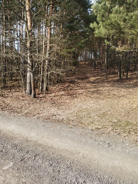Piękna działka Famułki Brochowskie zamiana