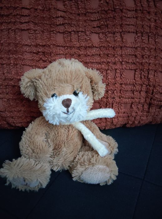 Miś Bukowski milutki