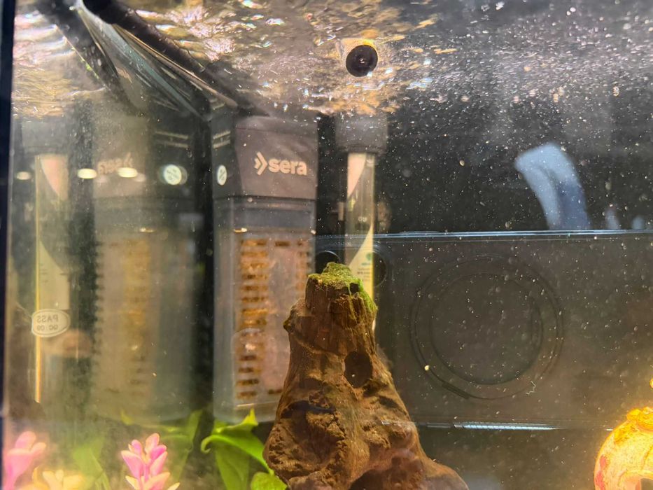 Aquário SUPERFISH START 50 TROPICAL completamente autônomo