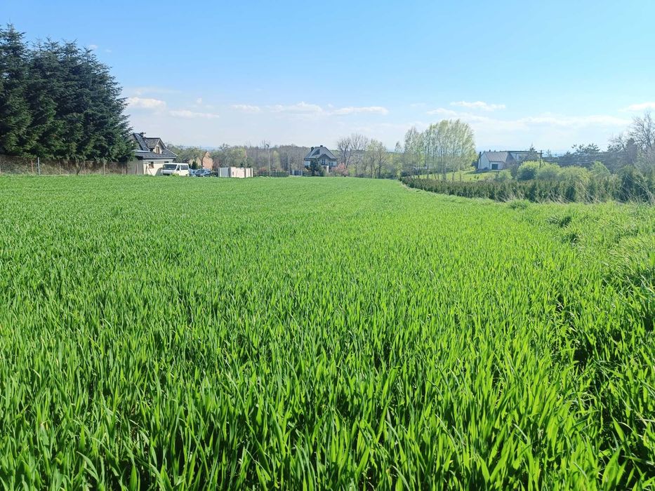 Piękna działka budowlana na sprzedaż 60 ar Dąbrowa Szlachecka - Wyźrał