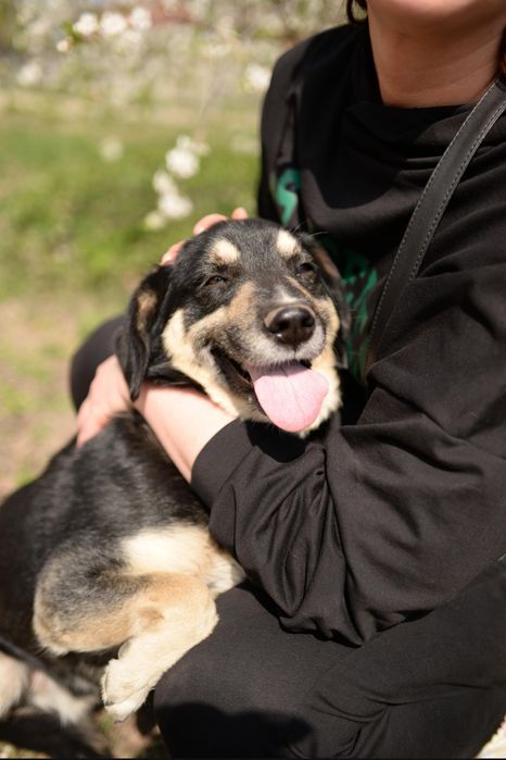 Хлопчику потрібен дім