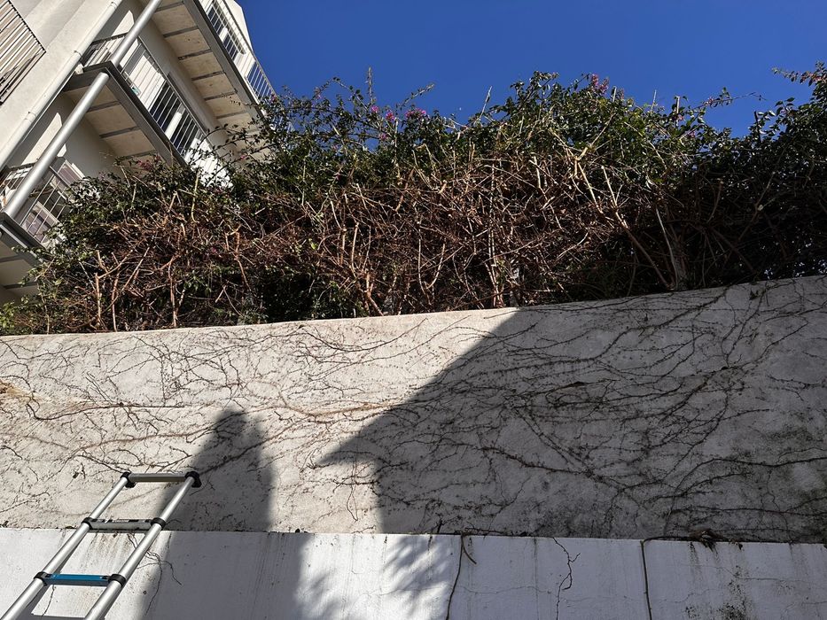 Limpeza e manutenção de jardins, piscinas e terrenos - melhor preço e qualidade