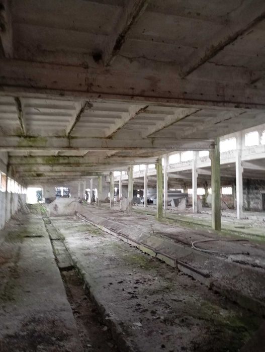 Magazyn, Hala 1500 metrów kwadratowych, 8 wjazdów..