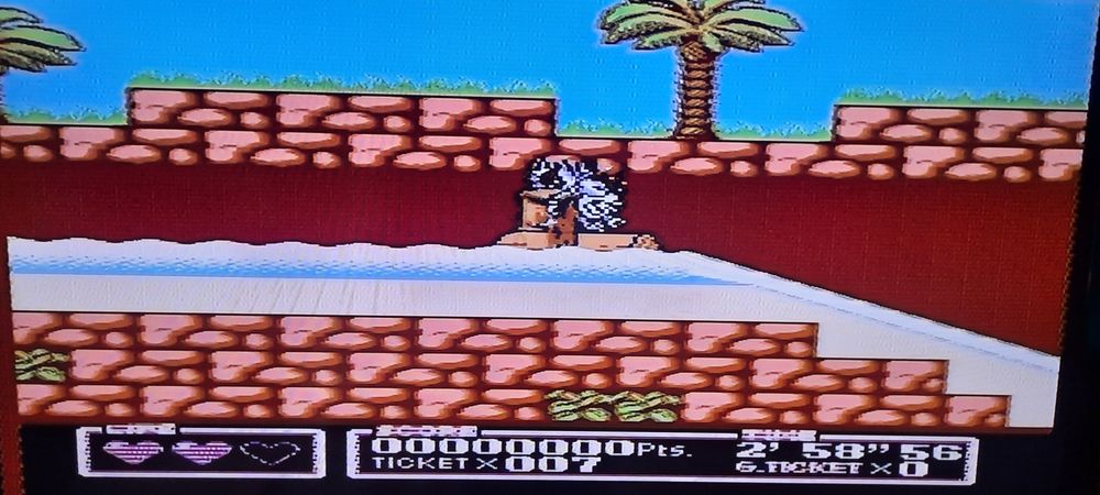 Kartridż pegasus Tiny Toon Adventures