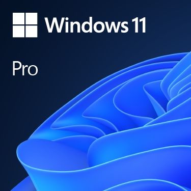 WINDOWS 11 Professional 32 bit 64 bit PL KLUCZ