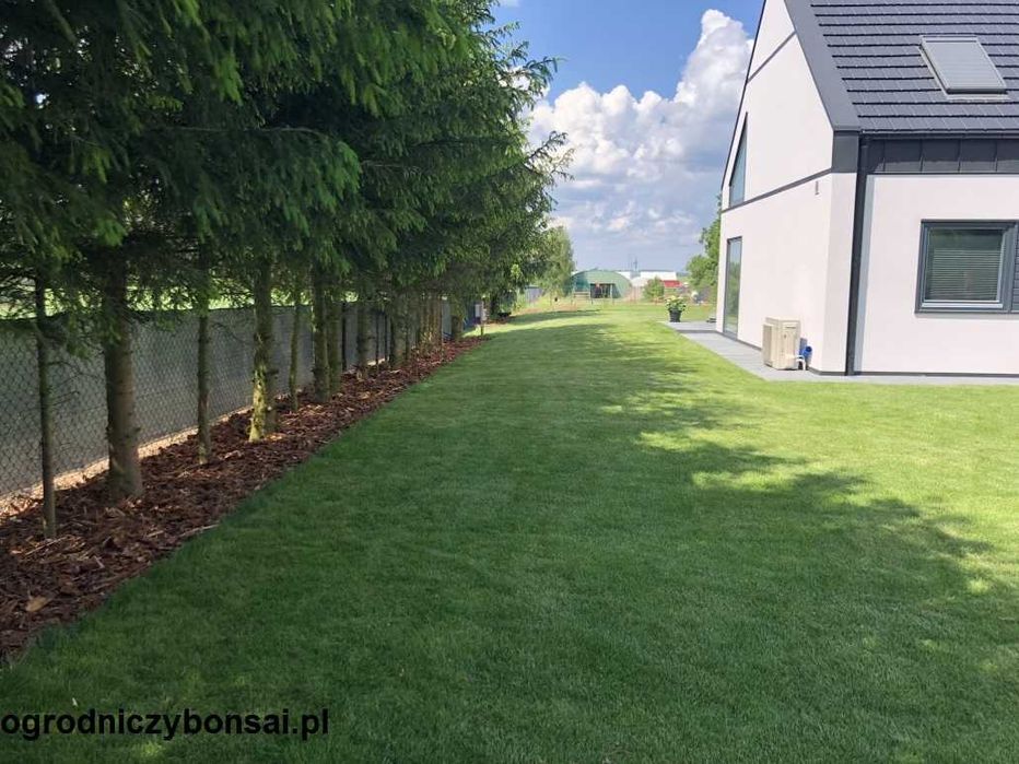Profesjonalne ogrody i automatyczne nawadnianie – WOLNY termin na 2026