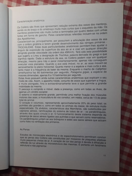 OS  COLIBRIS da coleção "Braga Junior"