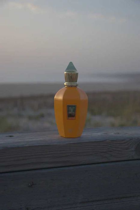 Perfume Xerjoff Erba Gold 100ml