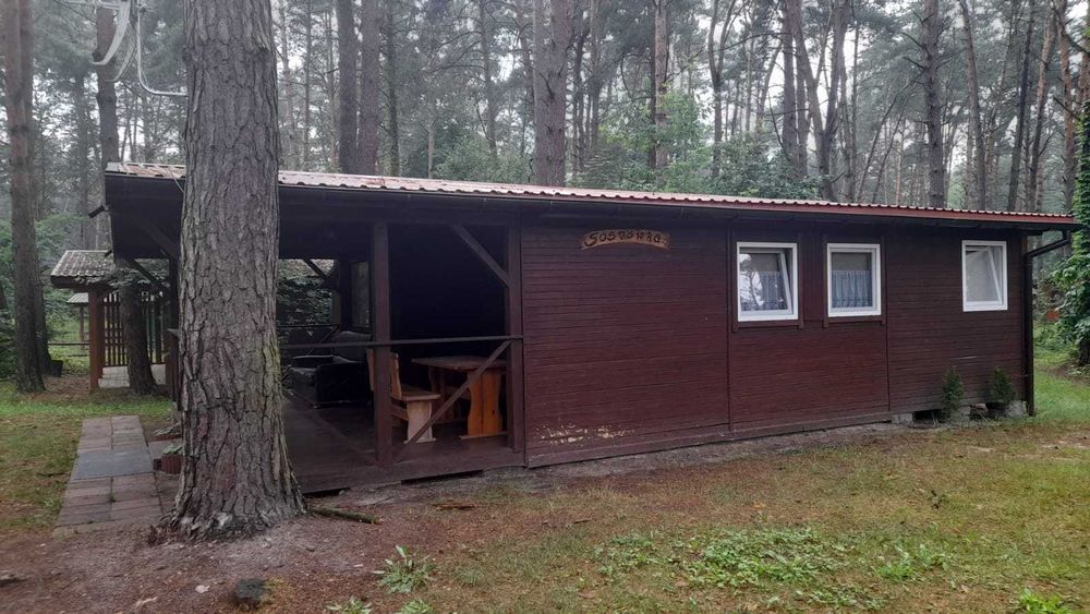 Domek campingowy na wynajem - Wólka Nadbużna - woj. podlaskie
