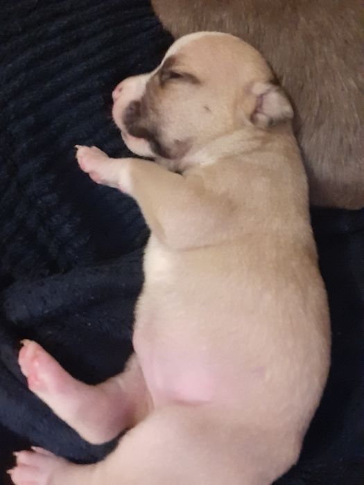 Только в хорошие руки