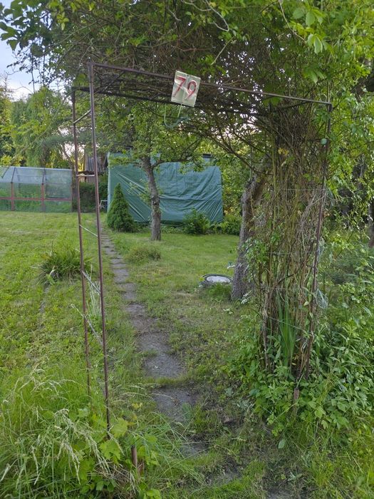 Sprzedam działkę ROD ul. Skrzydlata Elbląg 450 m² - Widok 2