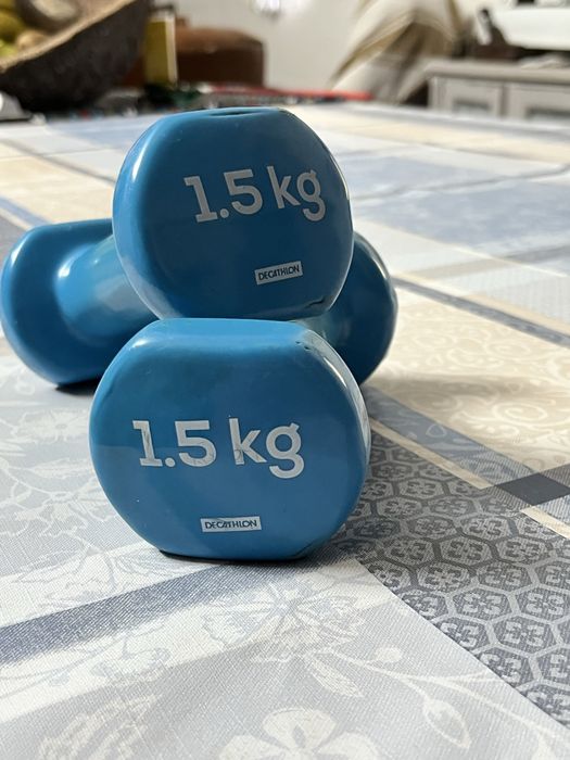 Alteres 1.5kg cada