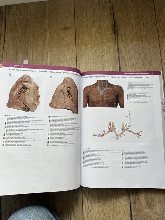 Ksiazki anatomia i hostologia zabel wozniak mcminn